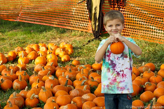 pumpkin patch oakley ca