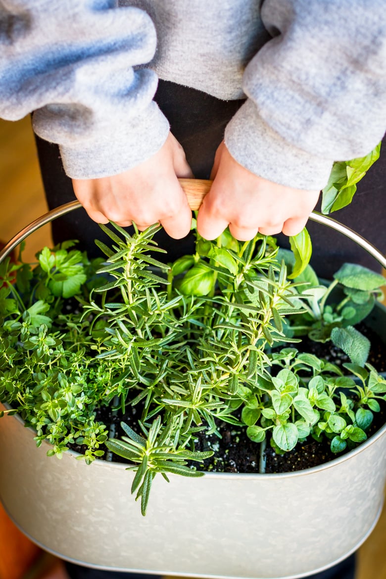 10 Minute Easy Diy Indoor Herb Planter Unsophisticook