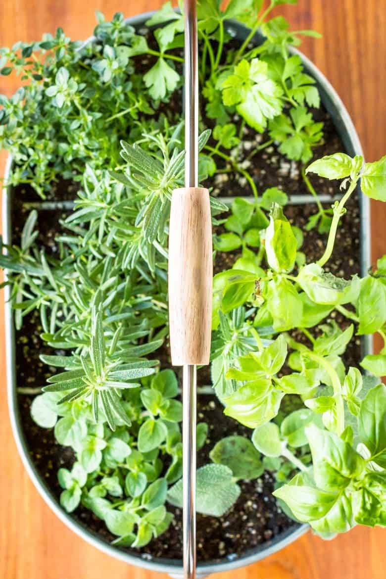 
Indoor herb garden