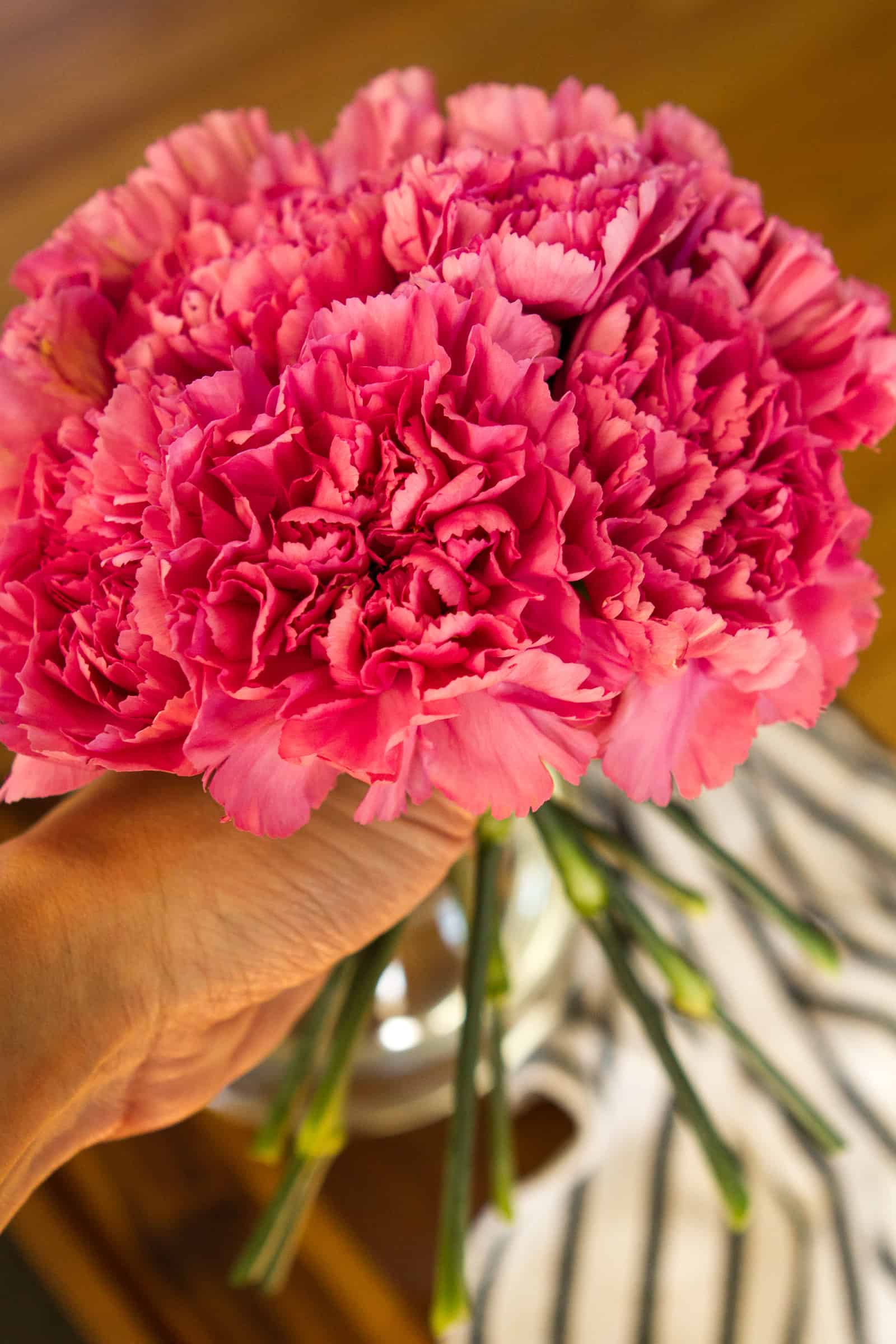 Simple Carnation Flower Arrangement (But Stunning!) // Unsophisticook