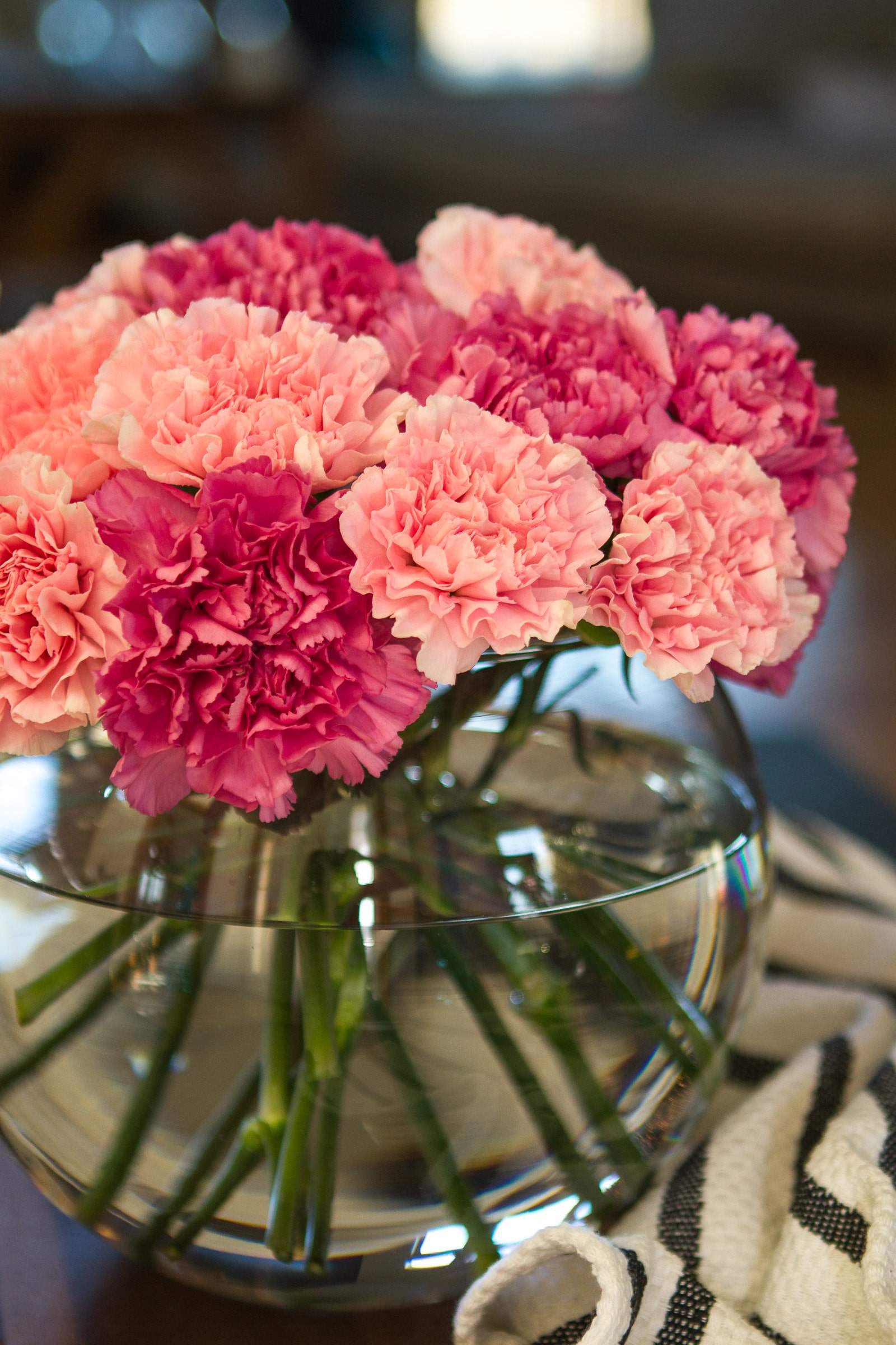 5 Things You Need to Know About Carnation Flowers