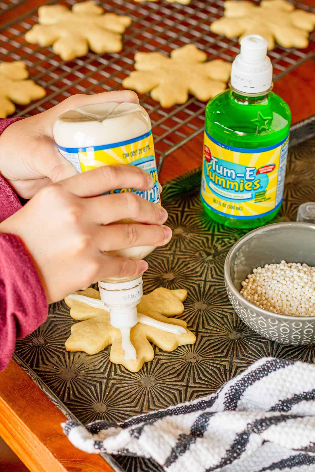 Easy Icing Squeeze Bottle