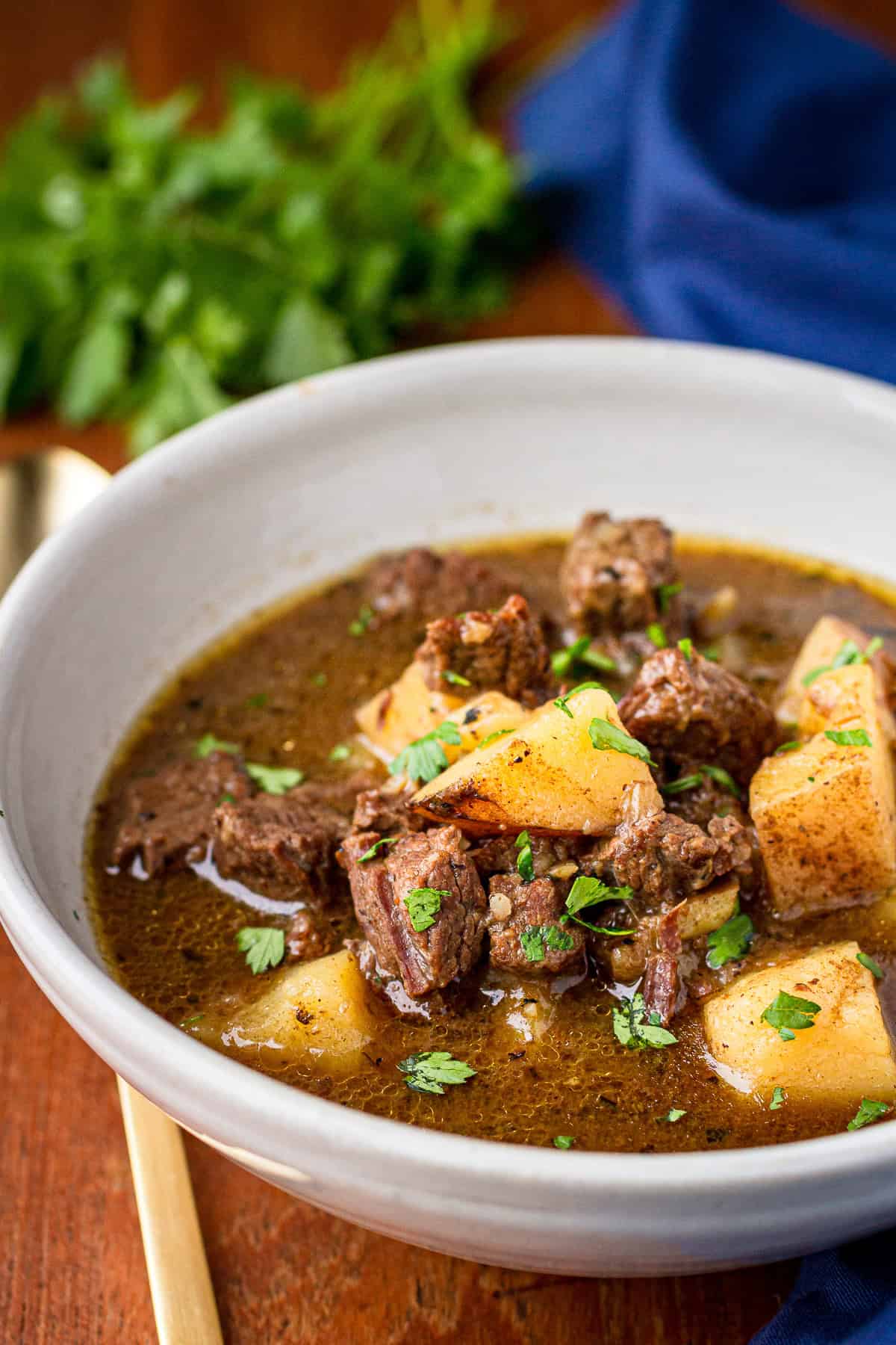 Instant Pot Meat and Potatoes Beef Stew in white bowl 