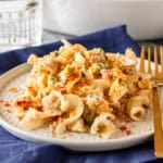 easy tuna casserole recipe topped with bread crumbs plated with a gold fork