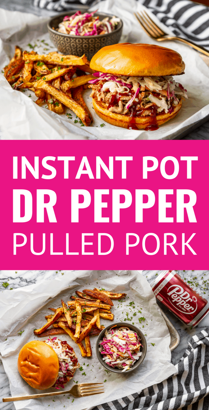 dr pepper pulled pork sandwich with coleslaw and fries