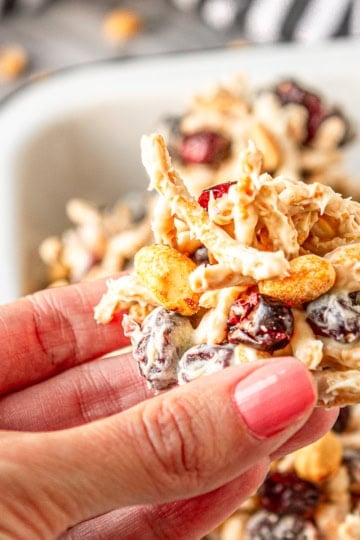 haystack cookie recipe with peanuts, dried cranberries, and chow mein noodlers