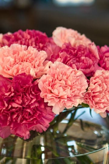 easy carnation arrangement in a round glass bowl